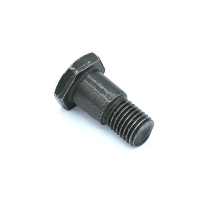 Tornillo pata cabra 10mm - Roanracing.com