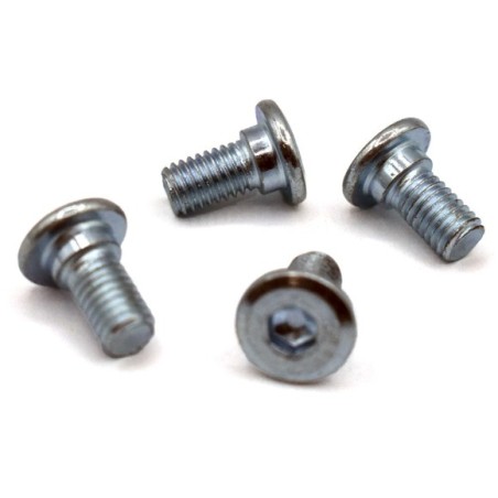 Tornillo ø8mm plato cadena quad/pit bike - Roanracing.com