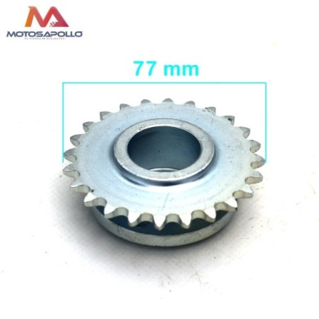 Plato cadena 06C-1 buggie - Roanracing.com