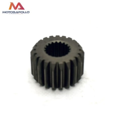 Piñon de embrague 250cc de 21 dientes Roanracing.com