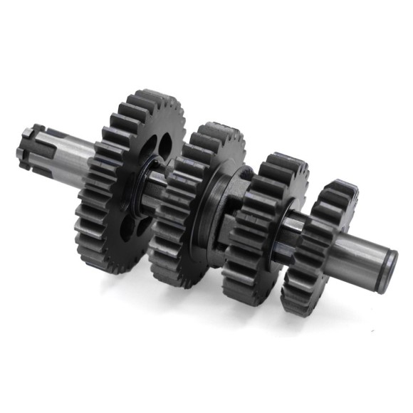 Kit piñón caja de cambio pit bike 125cc - Roanracing.com