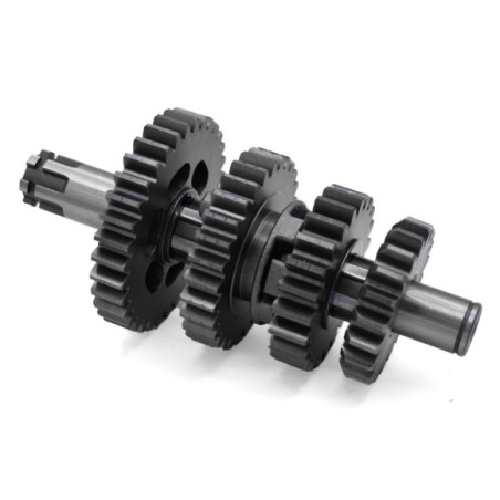 Kit piñón caja de cambio pit bike 125cc - Roanracing.com