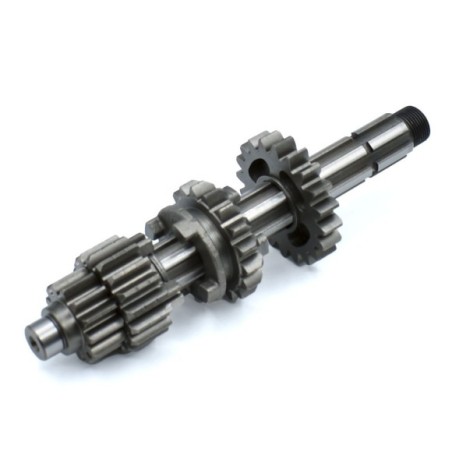 Kit piñón caja de cambios primario pit bike ZS 155cc - Roanracing.com