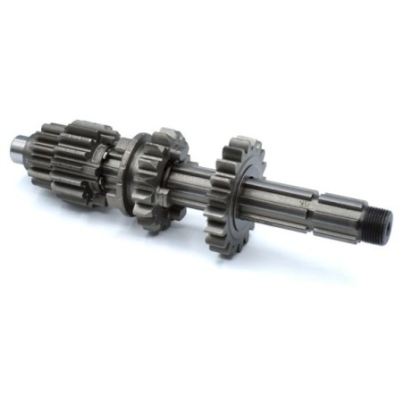 Kit piñón caja de cambios primario pit bike ZS 155cc - Roanracing.com