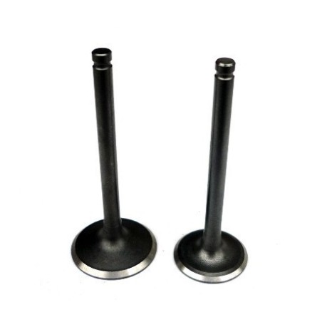 valvulas 125-140cc 27/23 mm - 1