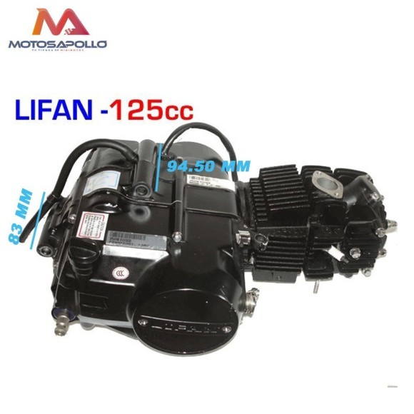 Motor 125 LIFAN Pit Bike Roanracing.com