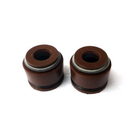 Juego retenes valvula  5mm - 1