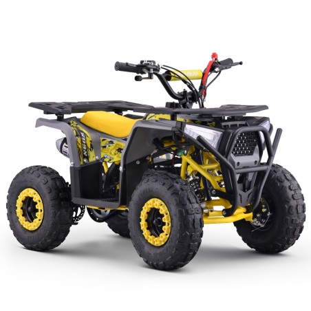 Miniquad 49cc Roan Bull Pro R6 - Roanracing.com