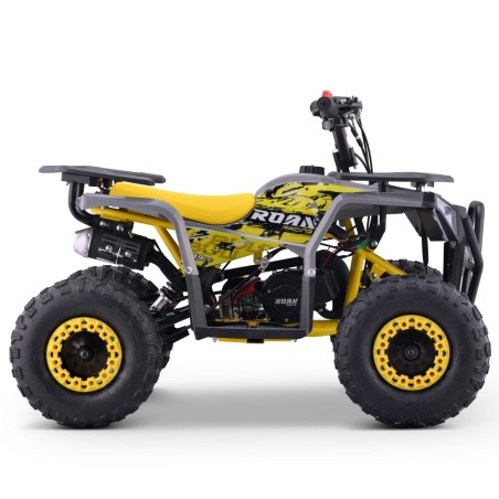 Miniquad 49cc Roan Bull Pro R6 - Roanracing.com