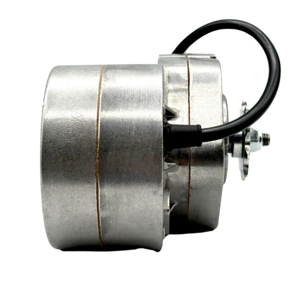 Motor eléctrico 250W 36V MX-E250