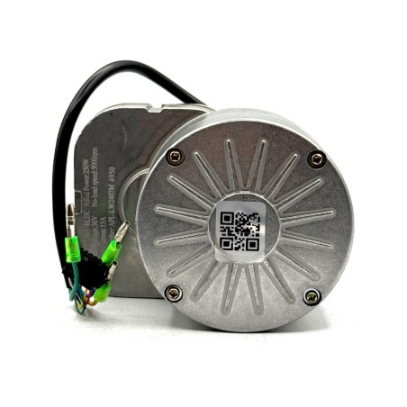 Motor eléctrico 250W 36V MX-E250
