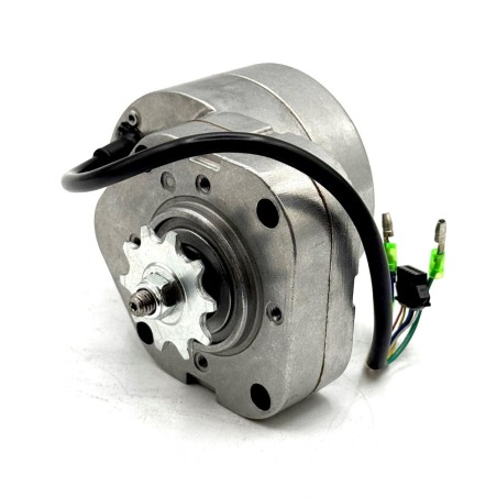 Motor eléctrico 250W 36V MX-E250