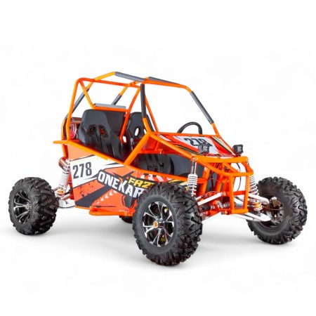 Buggy ROAN 300cc CVT R12 Todoterreno Biplaza 2