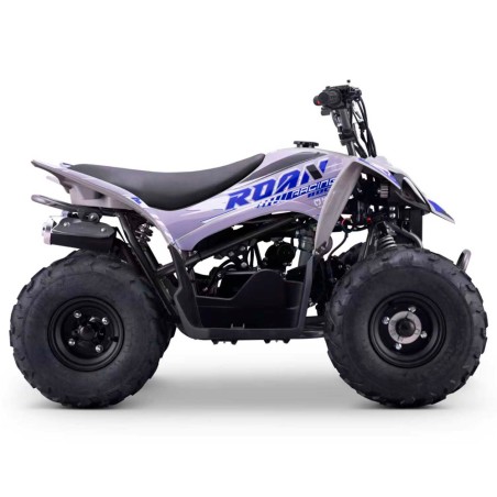 Quad Roan Dakar R7 110cc 4T Automático - roanracing.com