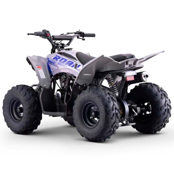 Quad Roan Dakar R7 110cc 4T Automático - roanracing.com