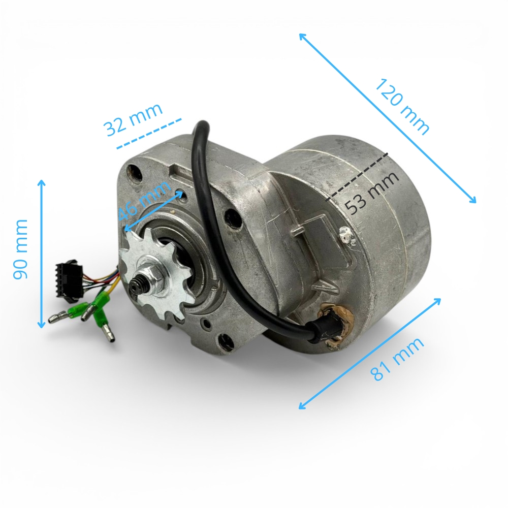 Motor eléctrico 350W 36V con piñón 10 dientes WarriorE350